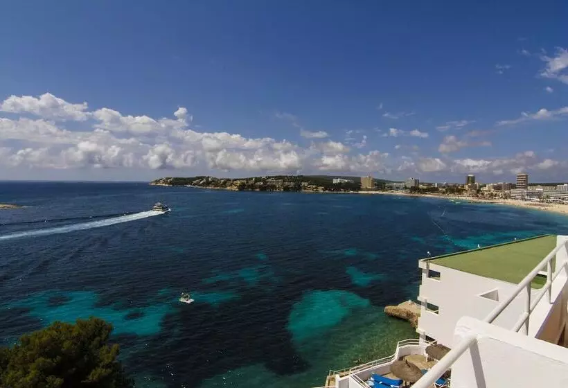 Fotos del hotel Florida Magaluf - Adults Only:  7