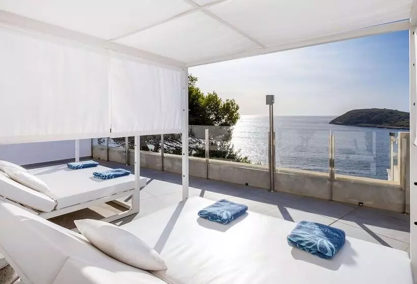 Fotos del hotel Florida Magaluf - Adults Only:  4