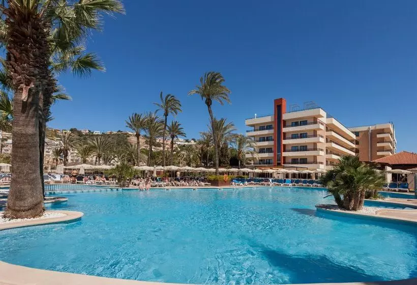 Fotos del hotel Zafiro Rey Don Jaime:  17