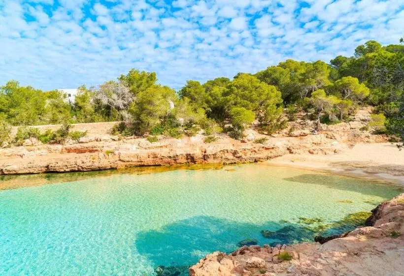 Fotos del hotel Fiesta  Cala Gració  All Inclusive  Adults Only:  23