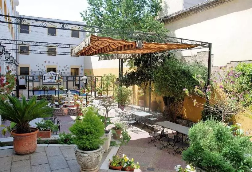 Fotos del hotel Averroes:  6