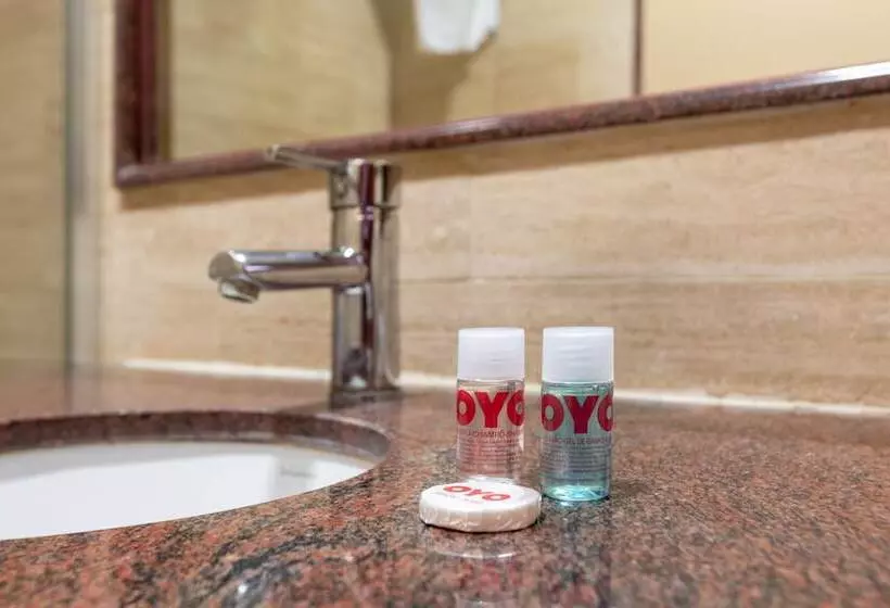 Fotos del hotel Francabel:  21