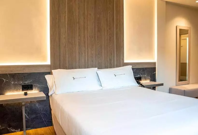 Fotos del hotel Rio Bidasoa:  17