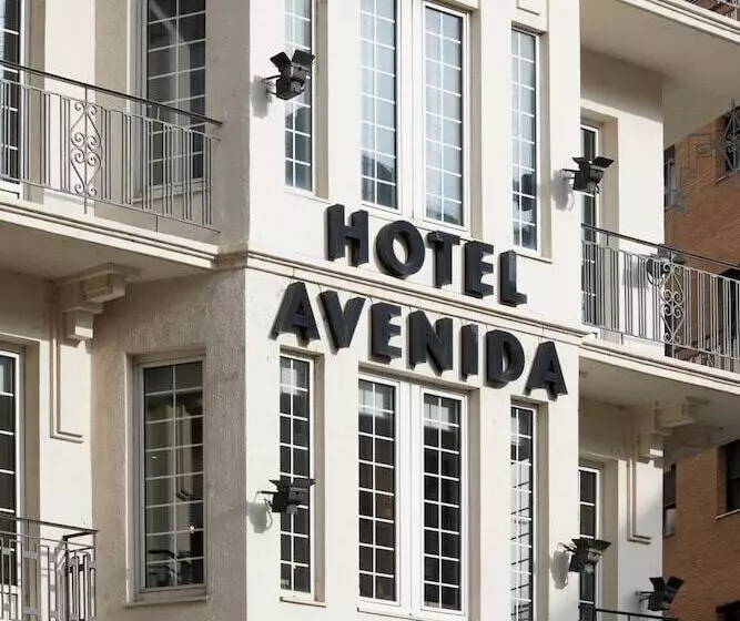 Fotos del hotel Avenida:  12