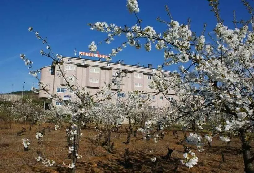 Fotos del hotel Novo:  5