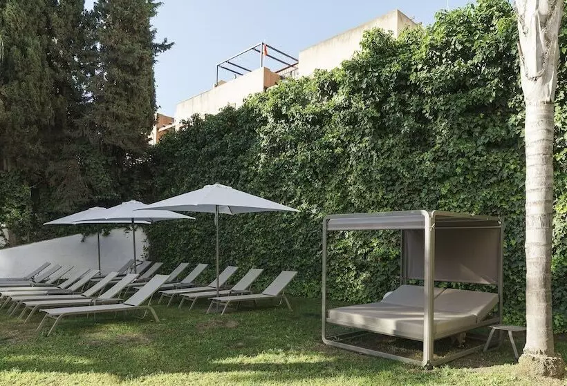 Fotos del hotel AluaSoul Costa Málaga:  17