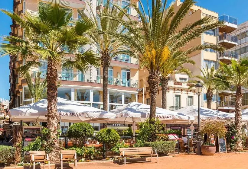 Fotos del hotel Marsol:  19