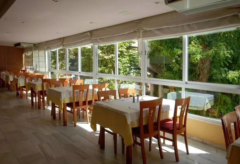 Fotos del hotel Monarque El Rodeo:  12