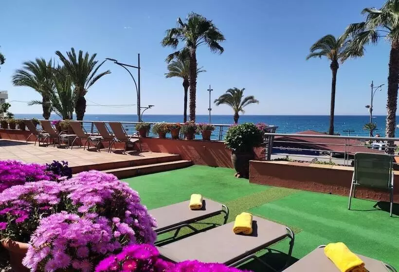 Fotos del hotel Rosamar & Spa 4*S:  23