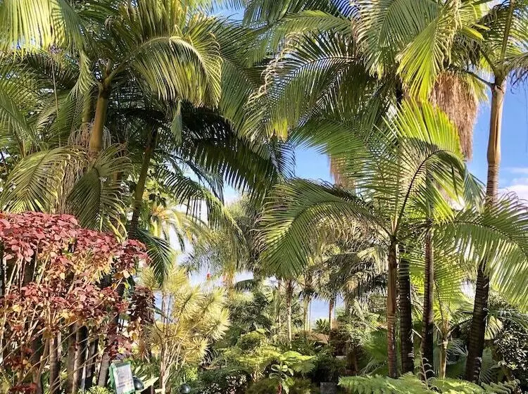 Fotos del hotel Tigaiga:  21