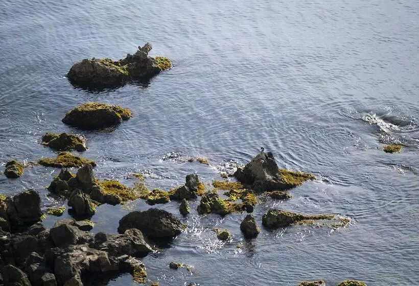 Fotos del hotel Voramar:  5