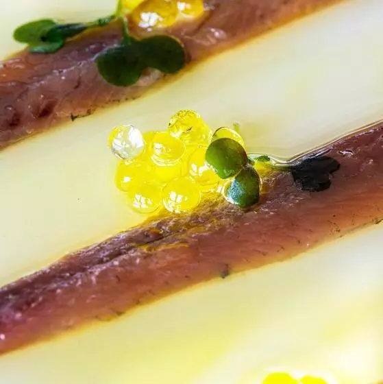 Fotos del hotel Maritim:  21