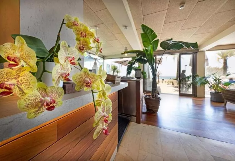 Fotos del hotel Maritim:  22