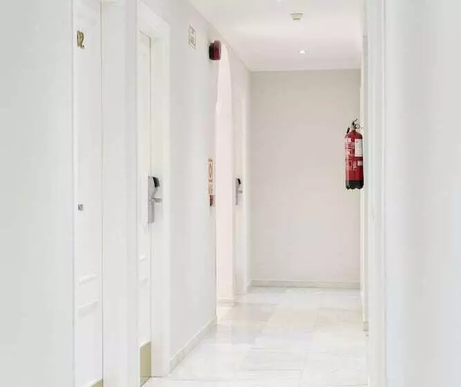 Fotos del hotel Toboso Chaparil:  18