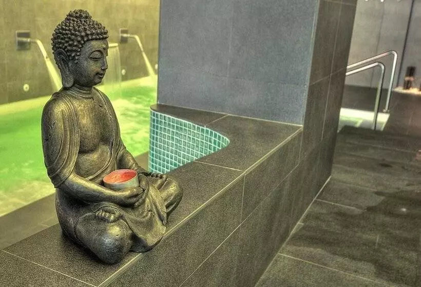 Fotos del hotel Spa Sinagoga:  14