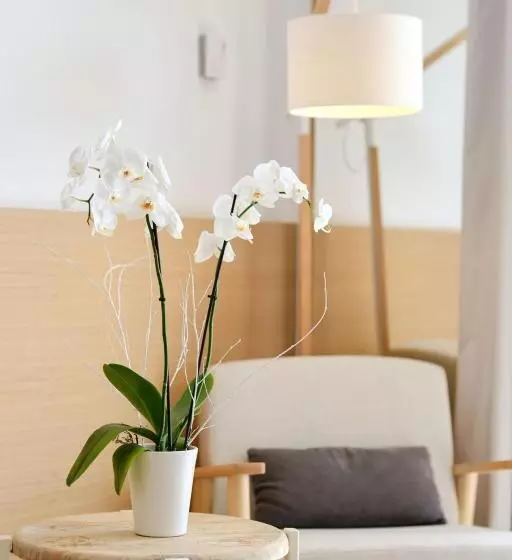 Fotos del hotel Villa Chiquita:  17