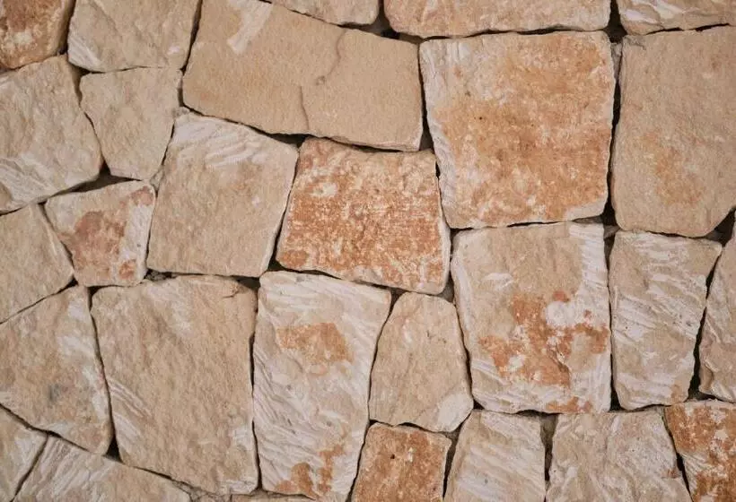 Fotos del hotel Villa Chiquita:  6