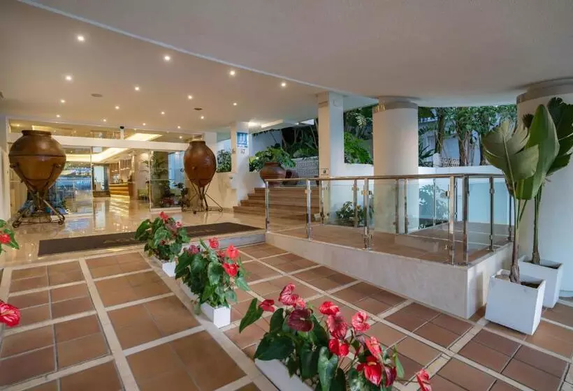 Fotos del hotel Ms Aguamarina Suites:  19