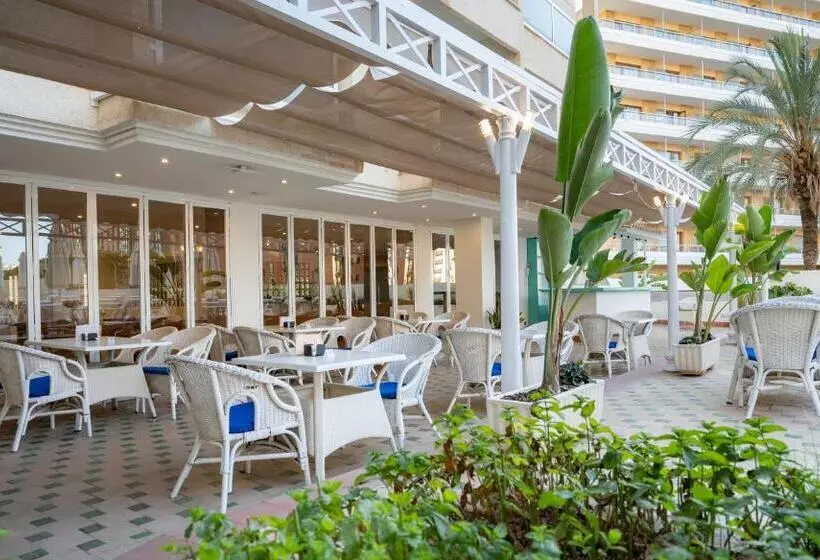 Fotos del hotel Ms Aguamarina Suites:  8