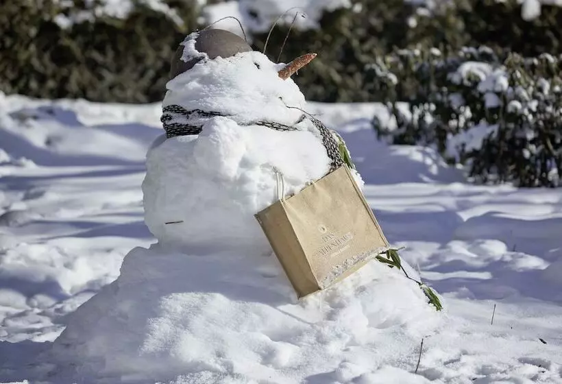 Fotos del hotel Das Alpenhaus Gasteinertal:  10