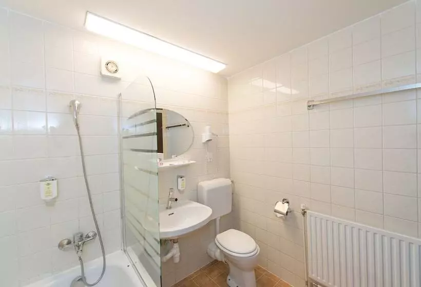 Fotos del hotel Mozart:  11