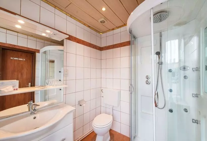 Fotos del hotel Mozart:  16