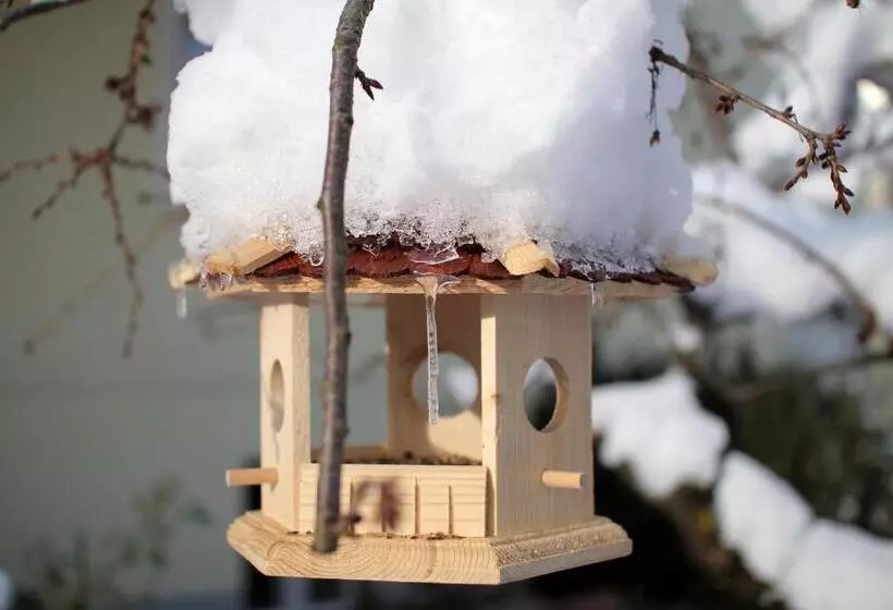 Fotos del hotel Rosenvilla:  24