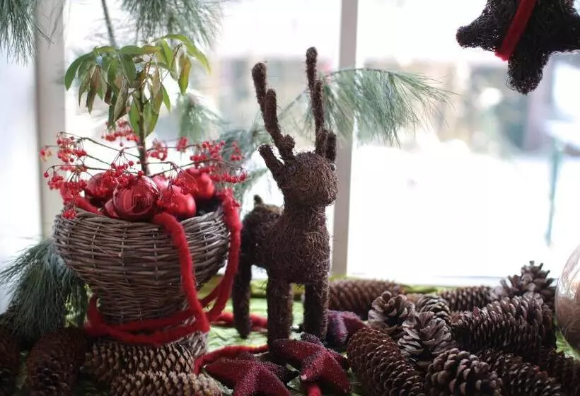 Fotos del hotel Rosenvilla:  13