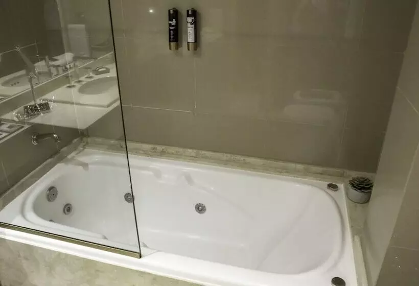 Fotos del hotel Carsson Hotel Down Town Buenos Aires:  24