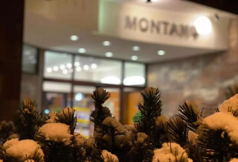 Fotos del hotel Interhotel Montana:  4