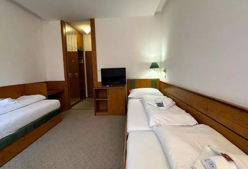 Fotos del hotel Interhotel Montana:  14