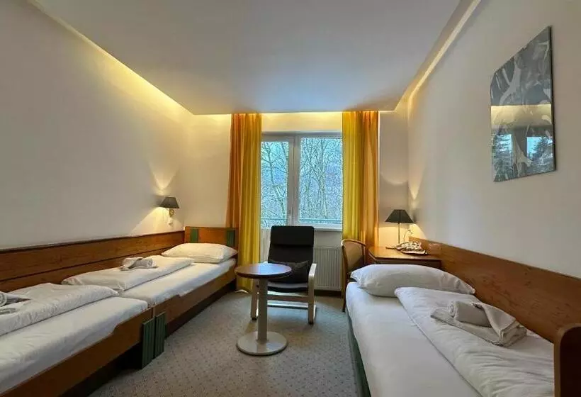 Fotos del hotel Interhotel Montana:  17