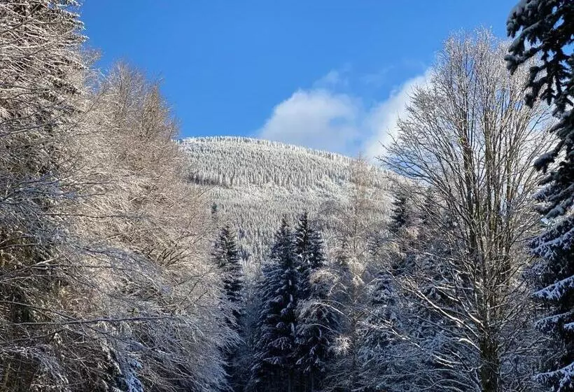 Fotos del hotel Interhotel Montana:  13