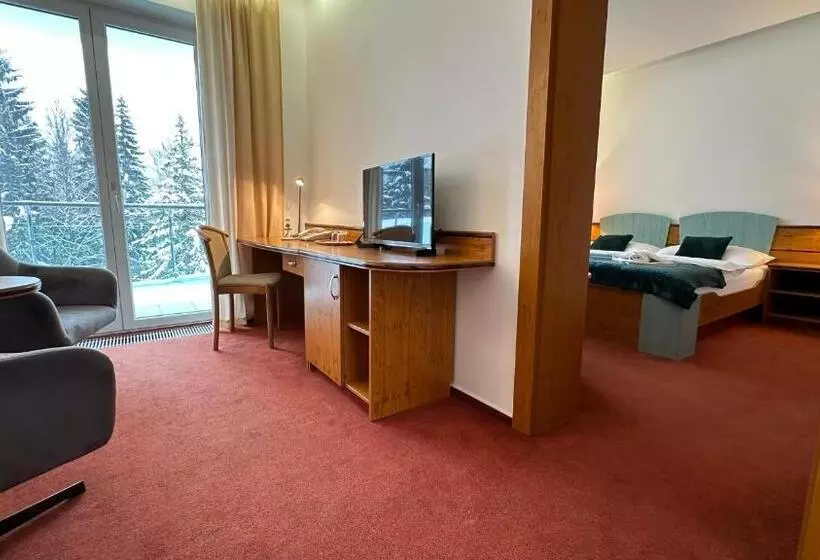 Fotos del hotel Interhotel Montana:  24