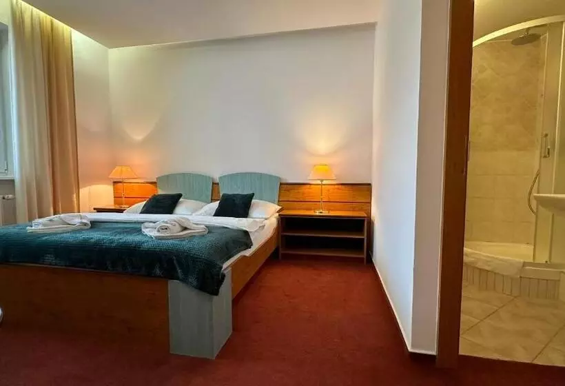 Fotos del hotel Interhotel Montana:  11