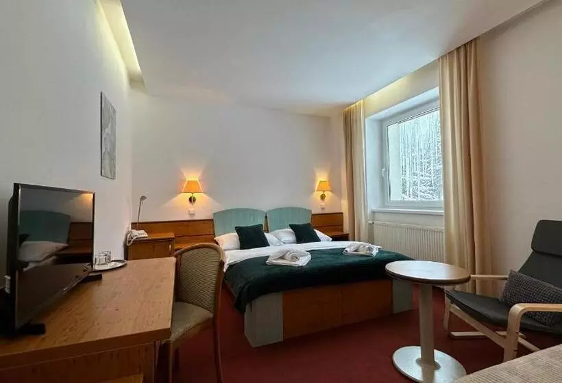 Fotos del hotel Interhotel Montana:  6