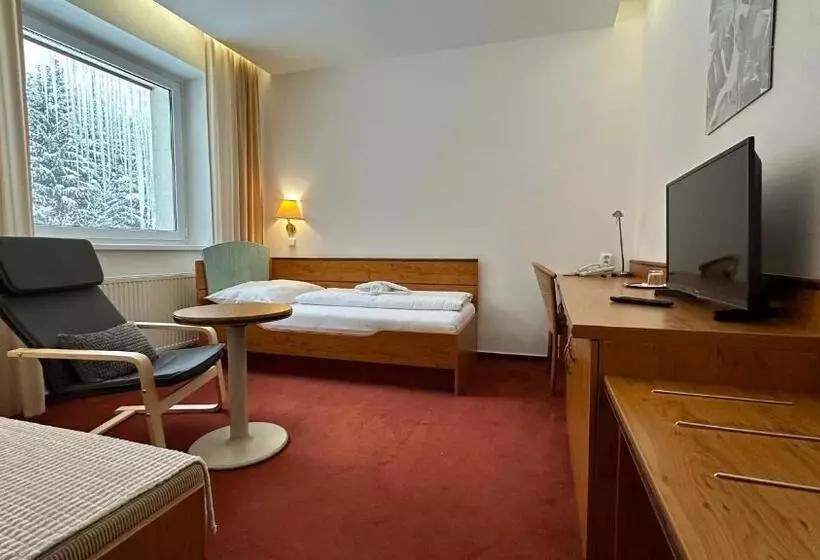 Fotos del hotel Interhotel Montana:  21