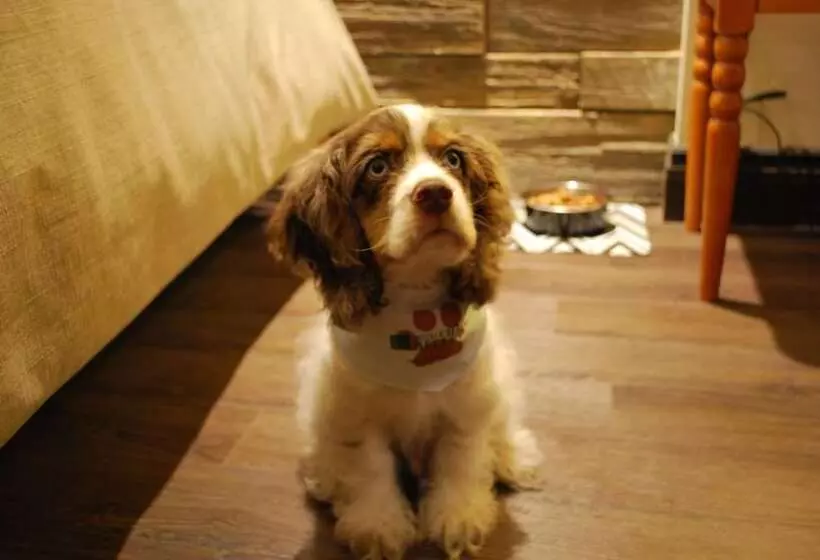 Fotos del hotel Chateau Bellevue:  11