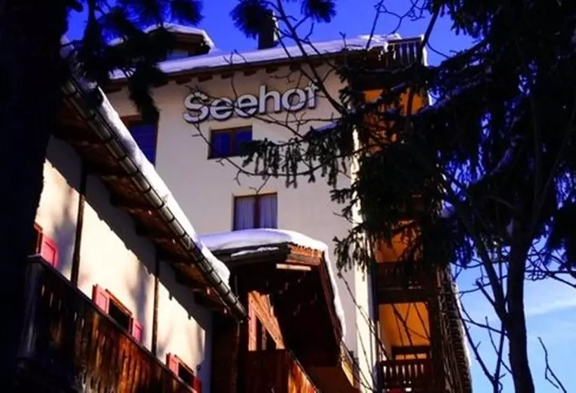 Fotos del hotel Seehof-arosa:  17