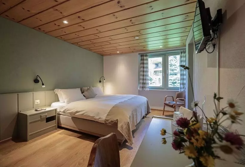 Fotos del hotel Seehof-arosa:  14