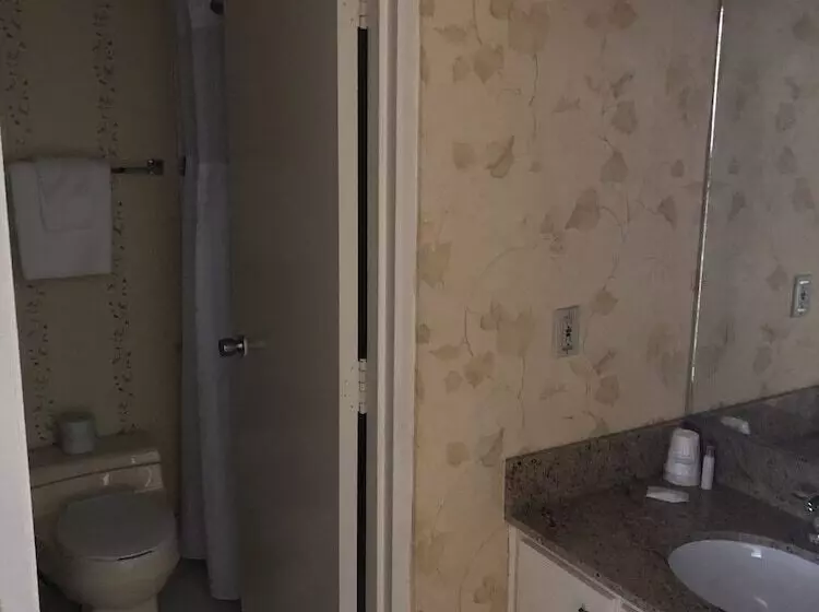 Fotos del hotel Travelodge By Wyndham Niagara Falls Fallsview:  18