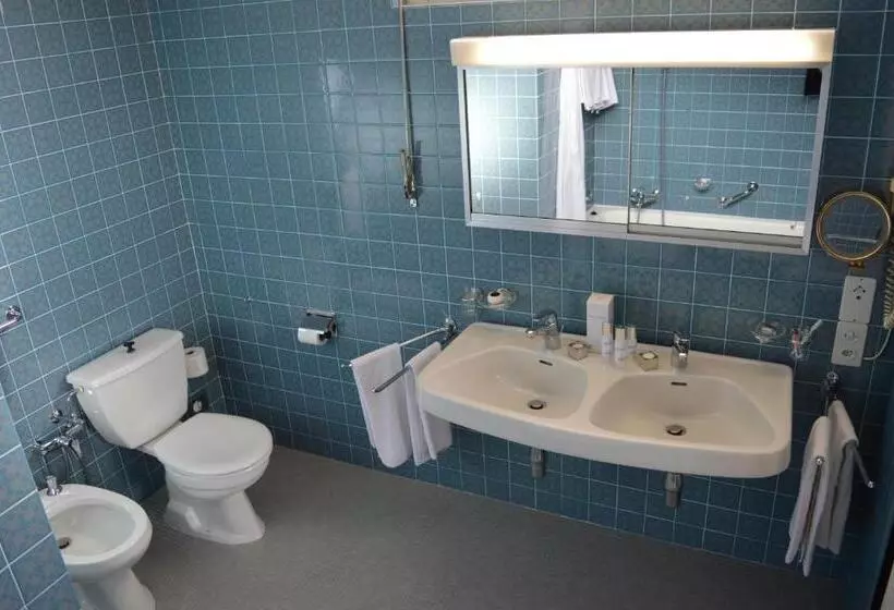 Fotos del hotel Hôtel Du Grand Lac Excelsior:  11