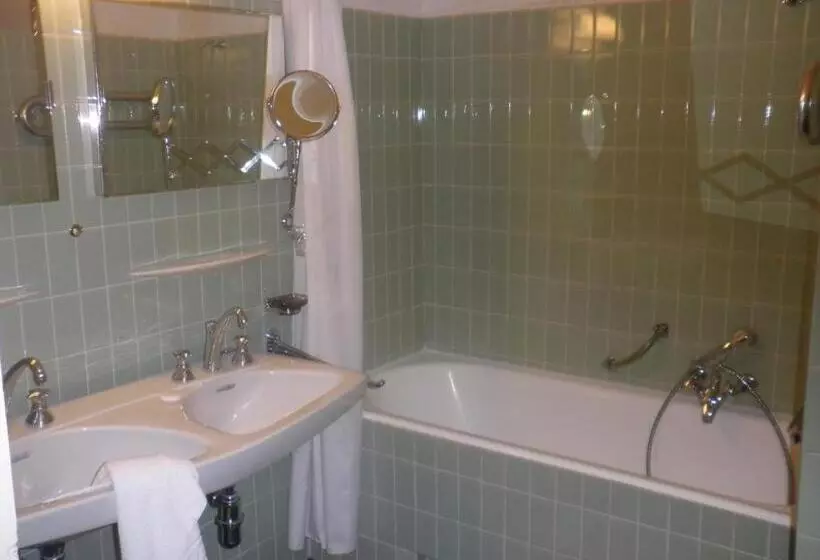 Fotos del hotel Hôtel Du Grand Lac Excelsior:  18