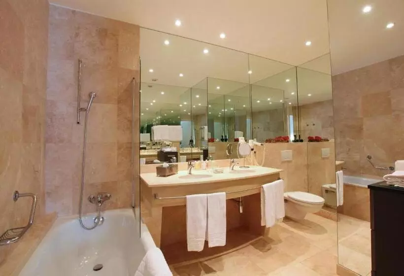 Fotos del hotel Hôtel Du Grand Lac Excelsior:  16