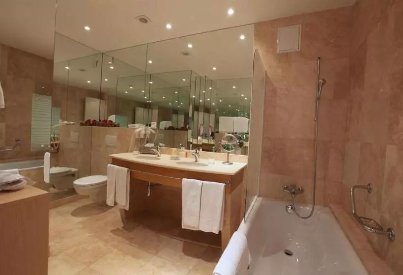 Fotos del hotel Hôtel Du Grand Lac Excelsior:  14