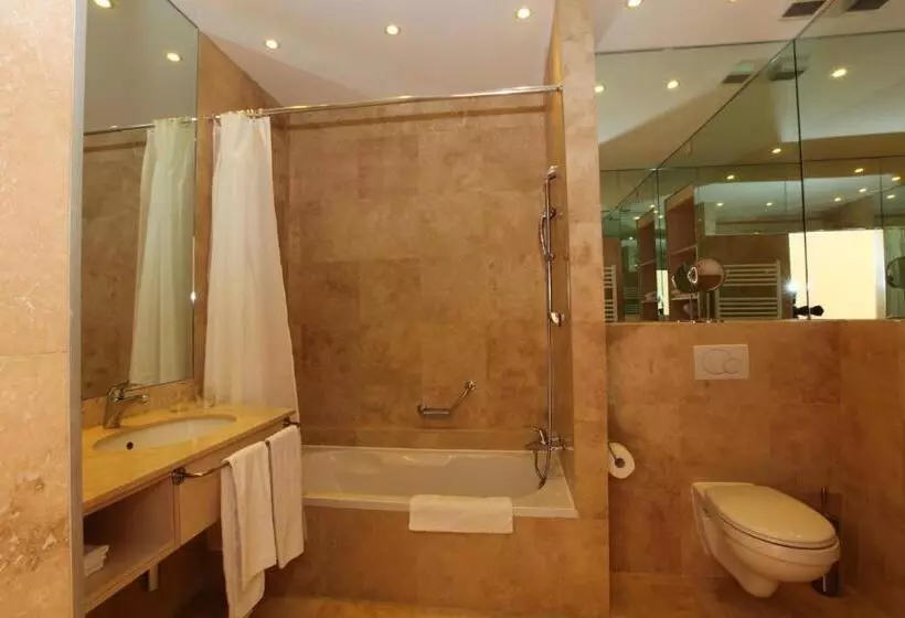 Fotos del hotel Hôtel Du Grand Lac Excelsior:  8