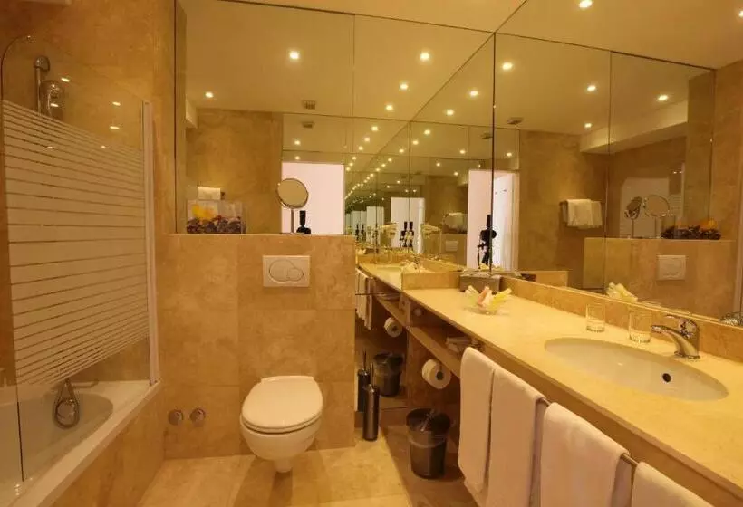 Fotos del hotel Hôtel Du Grand Lac Excelsior:  5