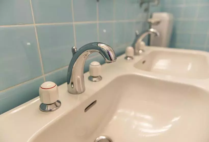 Fotos del hotel Hôtel Du Grand Lac Excelsior:  20