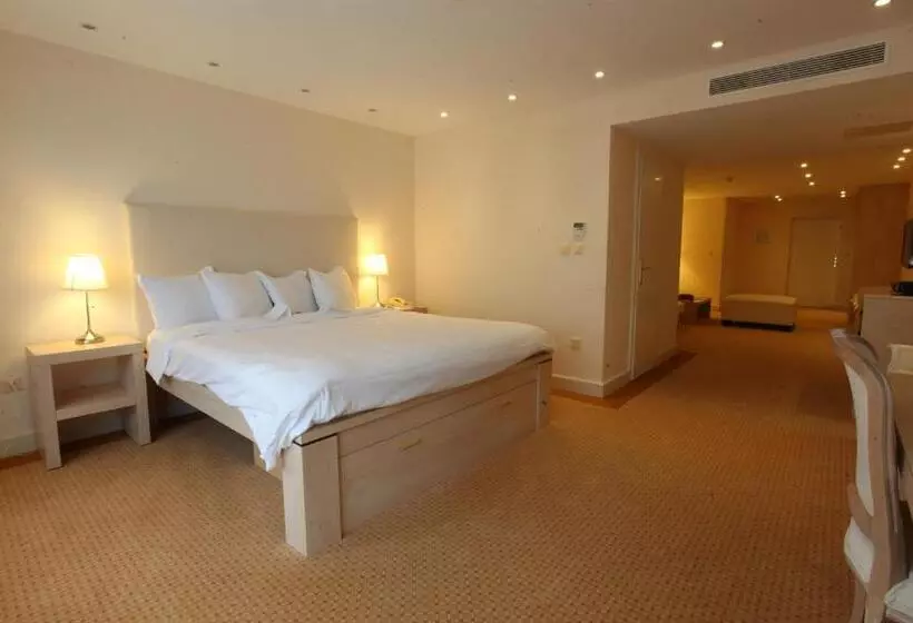 Fotos del hotel Hôtel Du Grand Lac Excelsior:  6