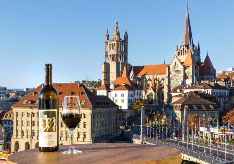 Fotos del hotel Swiss Wine By Fassbind:  17